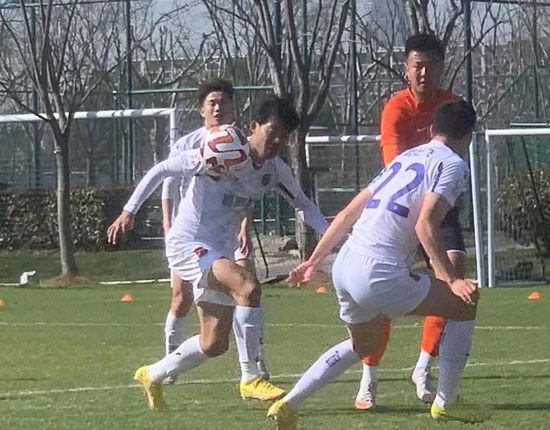 日本高清在线精品一区二区三区